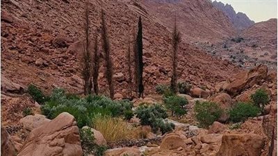  أمطار خفيفة على مدينة سانت كاترين| صور