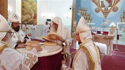 الأنشطة الروحية الأخيرة للأقباط في أسوان..شاهد
