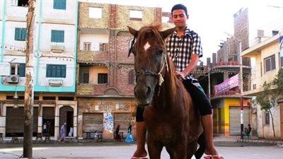 إمتطاء الخيول فى العيد.. عادة أم إحتفاء بالرجولة المُبكرة؟ 