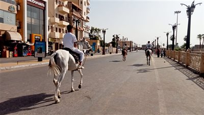 صور| ركوب الخيل.. أبرز مظاهر الاحتفال بعيد الأضحى في الأقصر