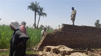 إزالة حالات التعد على الأراضى الزراعية بقرية الرحمانية بنجع حمادي