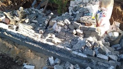 الدقهلية تكثف جهودها لمواجهة التعديات على الأراضي الزراعية 