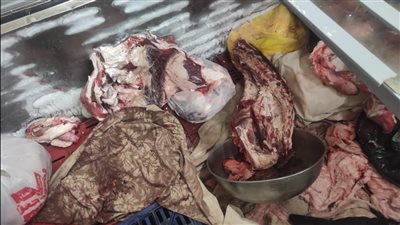 تحرير 26 محضر في حملات على الأسواق بالإسماعيلية 