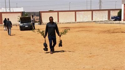 محافظ أسوان: زراعة الأشجار بالطرق والشوارع لزيادة المسطحات الخضراء