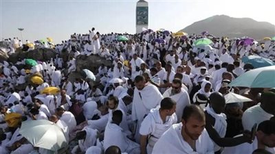 بعثة الحج السياحي: إعادة 142 حاجًا تائهًا منذ بداية موسم الحج