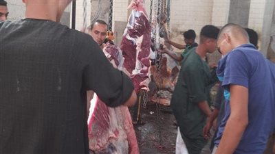في اليوم الثالث لعيد الأضحى.. حملات على مجازر المنيا