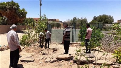 وزير التنمية المحلية يتابع مع محافظ أسوان مضاعفة نصيب الفرد من المساحات الخضراء وزراعة الأشجار 