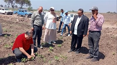رئيس البحوث الزراعية يتفقد محطة سخا البحثية