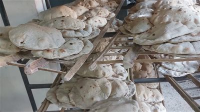 إحالة 188مخالفة تموينية للنيابة العامة بالدقهلية