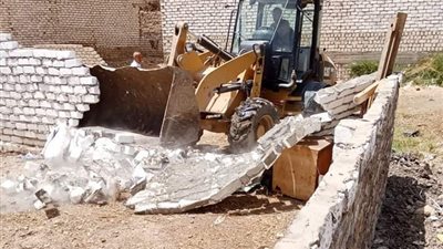 إزالة 4 حالات تعد على الأراضي الزراعية في بورسعيد