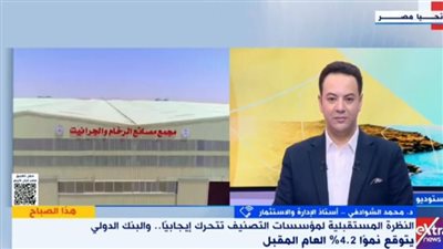 أستاذ استثمار: تحسين نظرة المؤسسات المالية للاقتصاد المصري تتويج لجهود الدولة