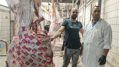 إقبال ضعيف رابع أيام عيد الأضحى على مجازر الإسكندرية 