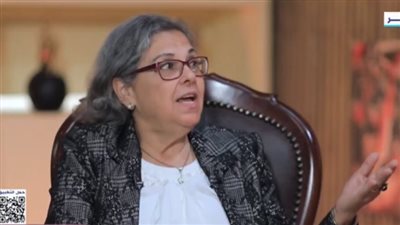 كريمة الحفناوي: جبهة الإنقاذ قدمت دعمًا لوجستيًا وغطاءً سياسيًا لحركة تمرد (فيديو)  