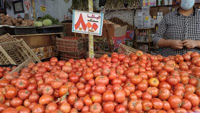 استقرار أسعار الخضراوات والفاكهة بأسواق البحيرة