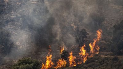 لبنان.. وزارة البيئة تصدر تحذيرًا من خطر اندلاع حرائق