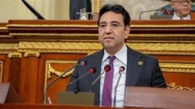 النائب أيمن محسب يثمن الجهود المبذولة للبحث عن الحجاج المصريين المفقودين