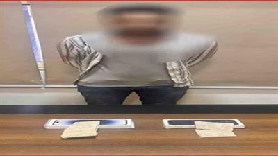 ضبط عاطل لمزاولته نشاط إجرامي تخصص في النصب والاحتيال بالقاهرة 