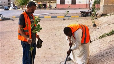 تكثيف الجهود لزيادة المسطحات الخضراء وزراعة الأشجار بأسوان