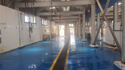  تعقيم وتطهير المجازر بعد انتهاء ذبح الأضاحي بالغربية