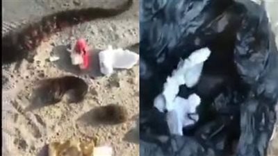 عالم بالأزهر الشريف يكشف حقيقة وجود أعمال سحرية على عرفات