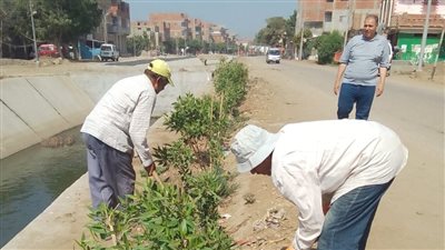 محافظ المنوفية يتابع جهود المحليات لتنفيذ أعمال المبادرة الرئاسية 