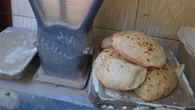محليات القليوبية تشن حملات مكبرة على المخابز ومحلات التموين