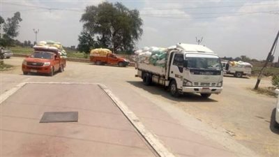 توريد 60777 طنًا من محصول القمح المحلي لمواقع التخزين بالشرقية