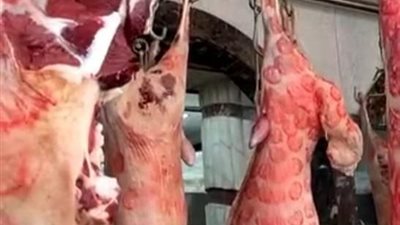 إعدام أغذية غير صالحة وتحرير 15 محضر مخالفات بالإسماعيلية