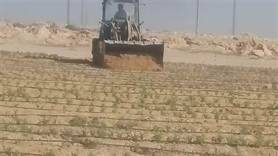 إزالة التعديات واسترداد أراضى أملاك الدولة بالفيوم 
