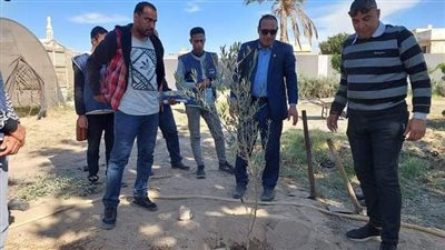 جنوب سيناء تشارك في زراعة 100مليون شجرة 
