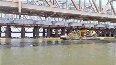 وزارة الري حول فيديو ظهور نباتات في نهر النيل.. فريق توجه لإزالتها فورًا