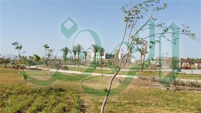 زراعة 80 ألف شجرة مثمرة بجنوب سيناء