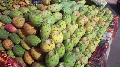 أبو حلاوة ياتين| التين الشوكي علاج لأمراض القلب والسرطان.. والواحدة بـ7 جنيهات