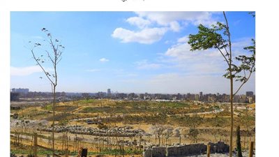 الجهاز المركزي للتعمير: مشروع 