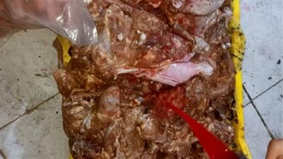 إعدام كميات من اللحوم والمواد الغذائية المنتهية الصلاحية بدمياط 