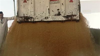 توريد 438 ألف و837 طن قمح لشون وصوامع أسوان