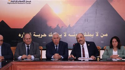 وزير الزراعة يوجه بالتوسع في إنتاج التقاوي عالية الجودة والإنتاجية 