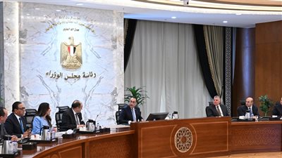 مدبولي يتطلع للتعاون مع الشركات الفرنسية في توطين صناعة السيارات 