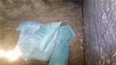 ضبط 10 شكائر دقيق مدعم داخل حظيرة مواشى بالبحيرة