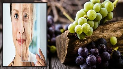 حصتان من العنب يوميًا تحمي من الخرف الشيخوخي