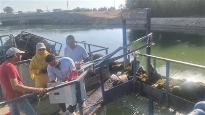 شركة القناة تستقبل رئيس مياه القاهرة ووفد إدارة الذكاء الاصطناعى