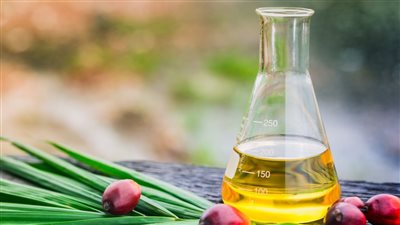 خبراء يكشفون مخاطر استخدام زيت النخيل