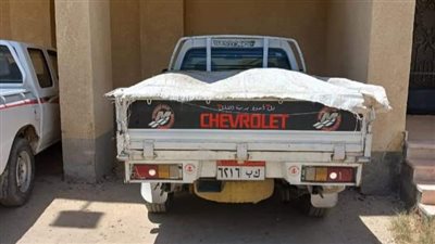 ضبط 400 كيلو دواجن نافقة بالفيوم في طريقها إلى مصنع بروتين بالقاهرة