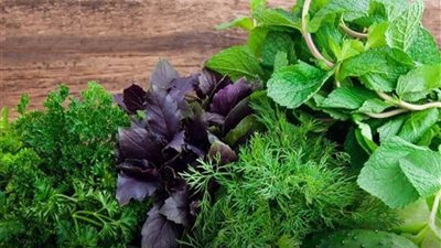 أفضل الخضروات الورقية لصحة جيدة 