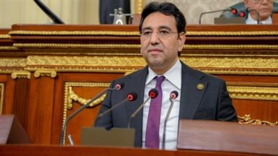 أيمن محسب: قانون إنشاء المحاكم الاقتصادية تنفيذ لاستحقاق دستوري