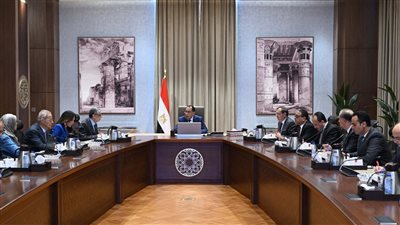 رئيس الوزراء يناقش حلول مشكلة انقطاع الكهرباء وتخفيف الأحمال