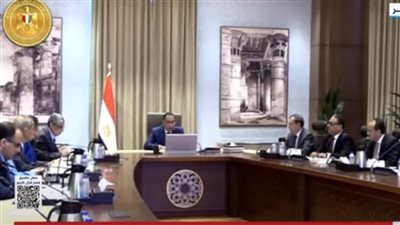 مدبولي: ندرك جيدًا أبعاد أزمة الكهرباء ونبذل الجهود لحلها