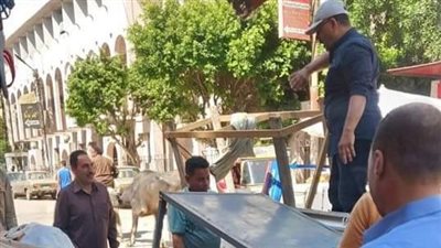 حفاظًا على المظهر الجمالي.. رفع 160 حالة إشغال بسنورس في الفيوم 