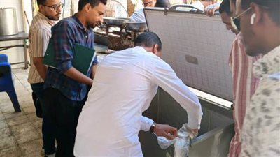 أسوان: تحرير 61 محضر وإعدام 110 كيلو جرام أغذية غير صالحة 