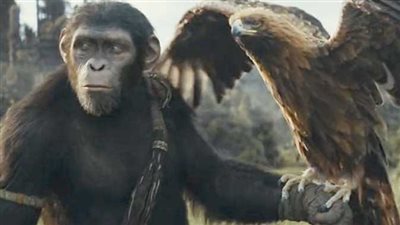 إيرادات Kingdom of the Planet of the Apes بالسينمات المصرية